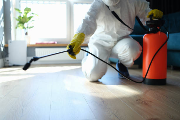 Reliable Infectious Disease Decontamination contractor in Converse, TX by Trauma Clean Pros